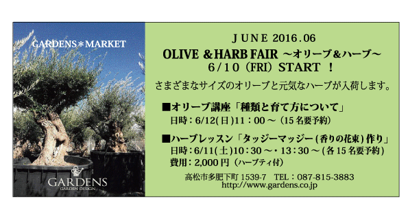 olivefair.gif